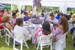 RainbowTea_033